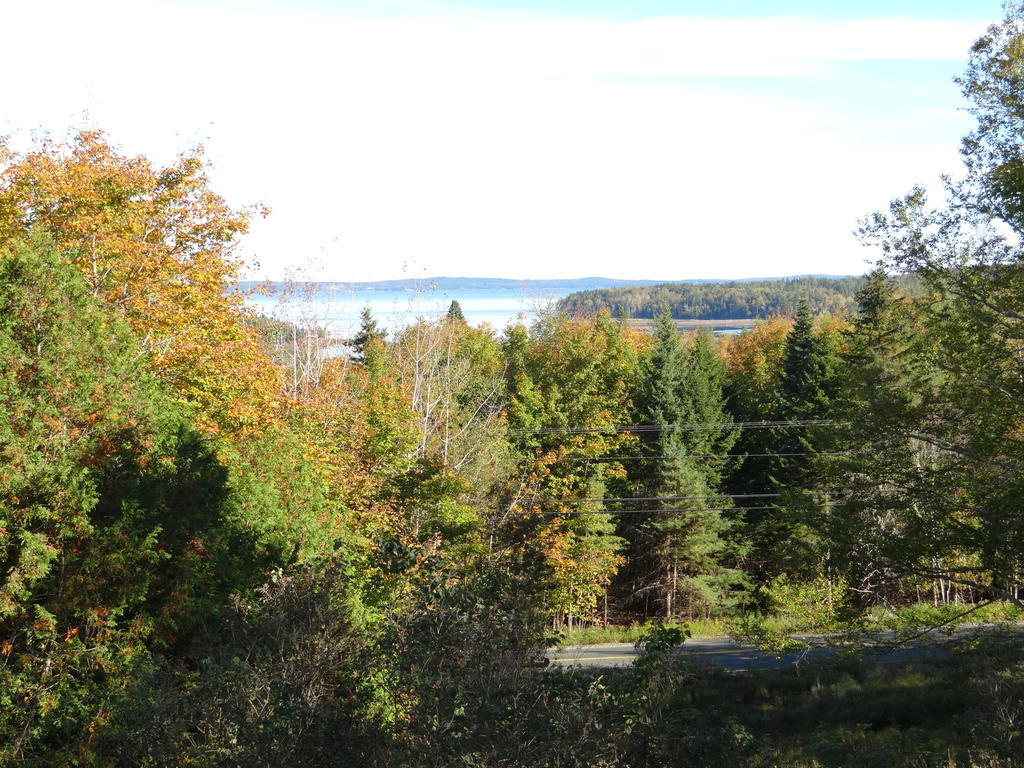 Chamcook Forest Lodge Bed & Breakfast St. Andrews By The Sea Exterior photo